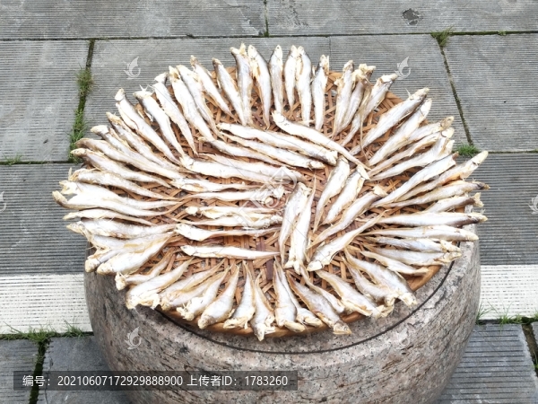 干小魚(yú)