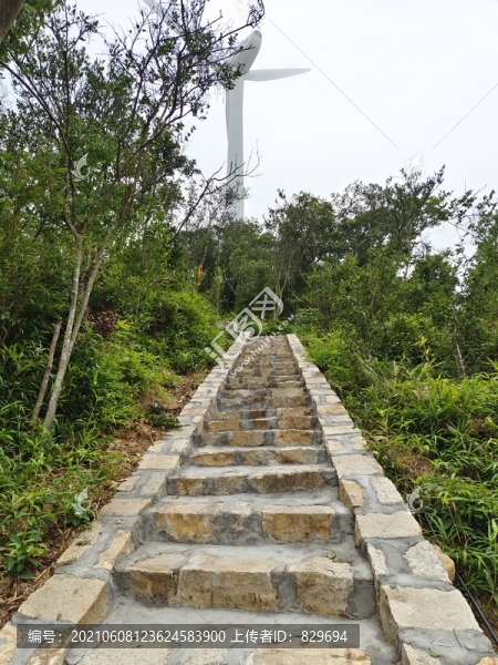 石梯