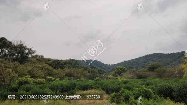 山脈