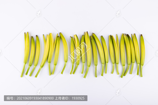 黃花菜