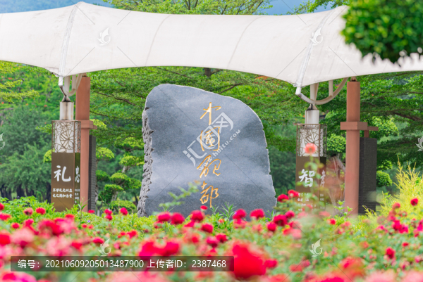 星湖風景區(qū)內的緋扇月季花