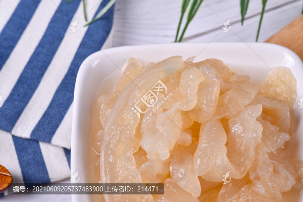 海蜇