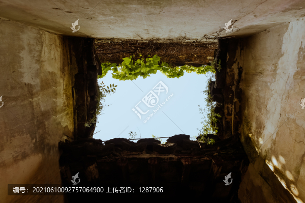 園林小景