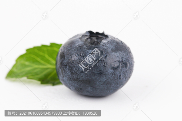 藍(lán)莓
