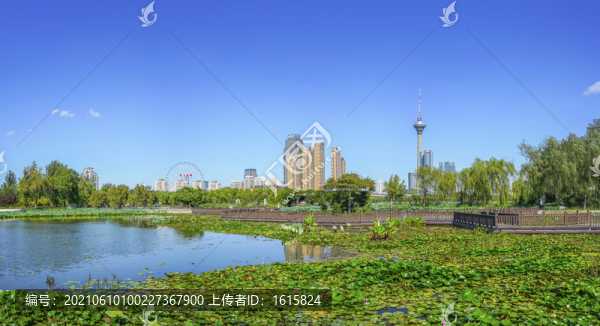 天津水上公園大畫幅
