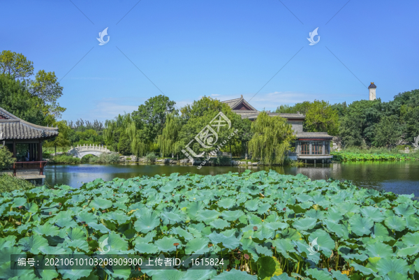 天津北寧公園高清大圖