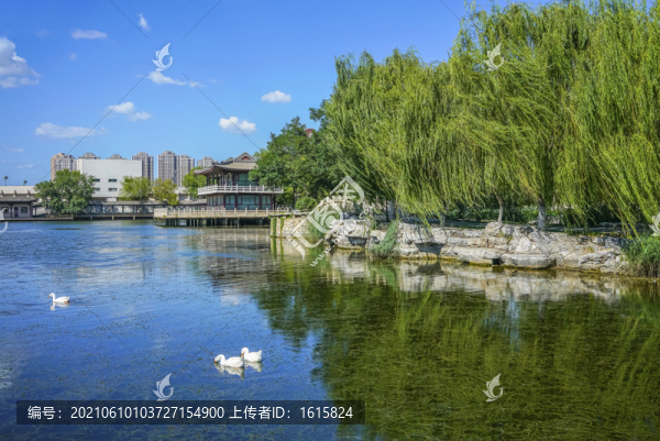 天津北寧公園高清大圖