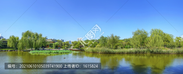 天津南翠屏公園大畫(huà)幅