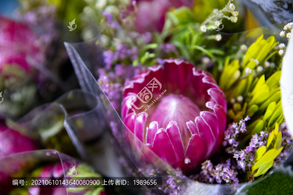 帝王花菩提花海神花