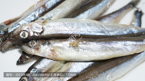新鮮多春魚