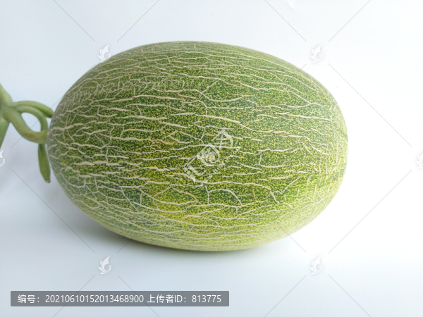 白底一個哈密瓜
