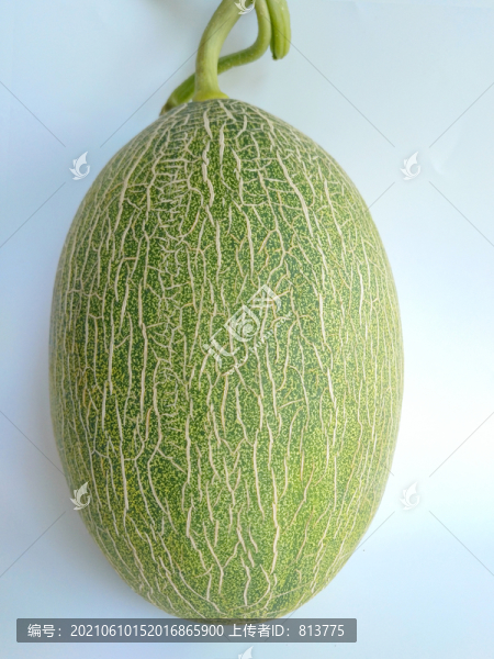 成熟特寫哈密瓜