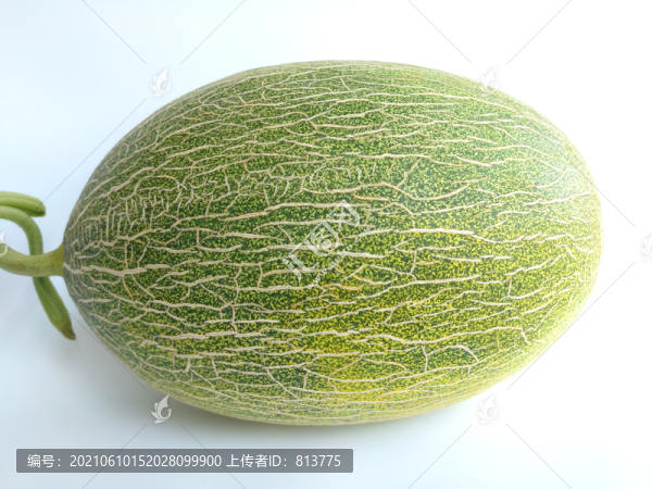花皮哈密瓜