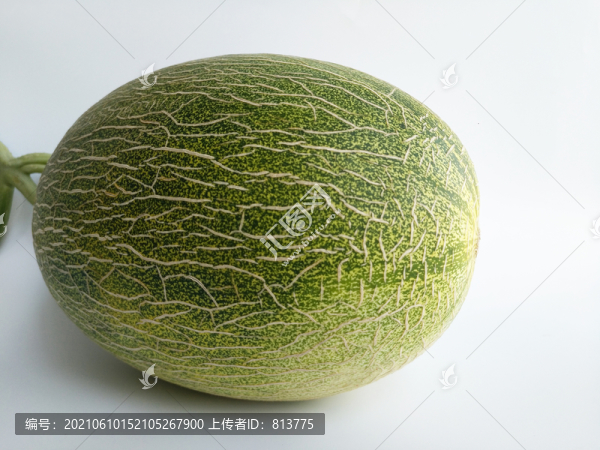 甜甜靜物哈密瓜