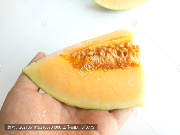 夏日哈密瓜