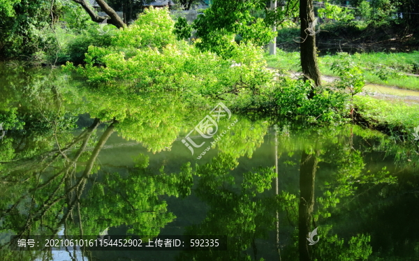 水塘