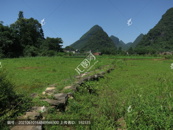 大面風(fēng)光