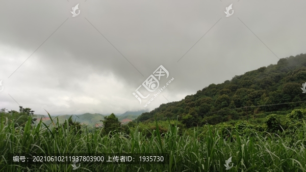 山中烏云
