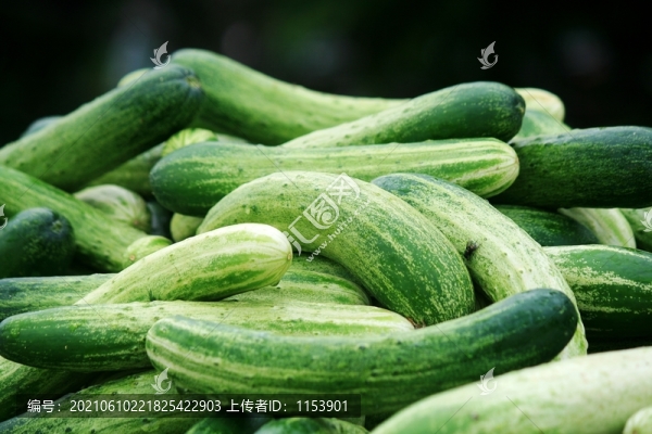 水果黃瓜