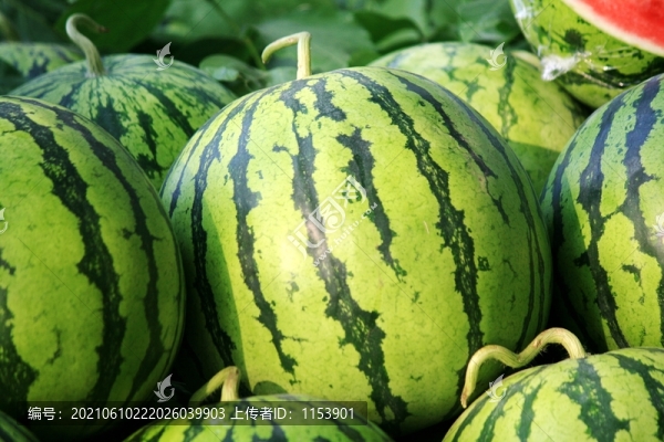 冰糖西瓜