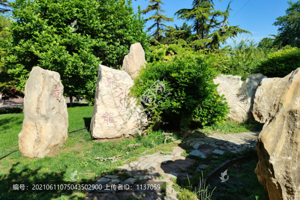 北京龍?zhí)逗珗@龍字石林