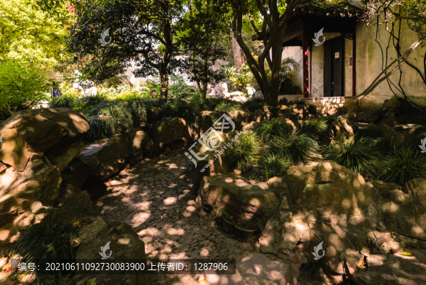 林蔭小道
