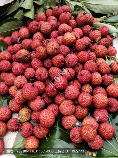 紅荔枝