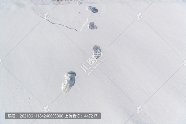雪原足跡