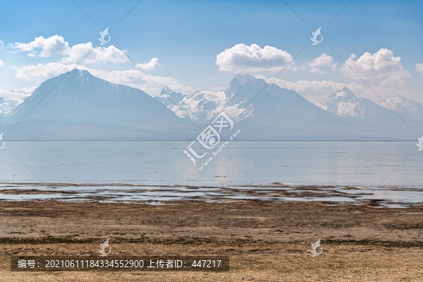 多情措