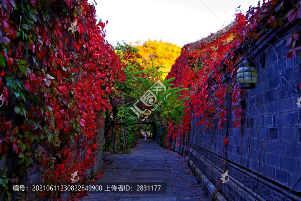 古北水鎮(zhèn)司馬臺長城