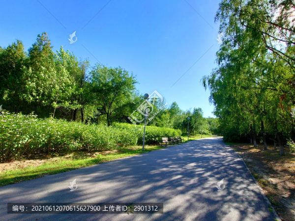 公園綠化小路