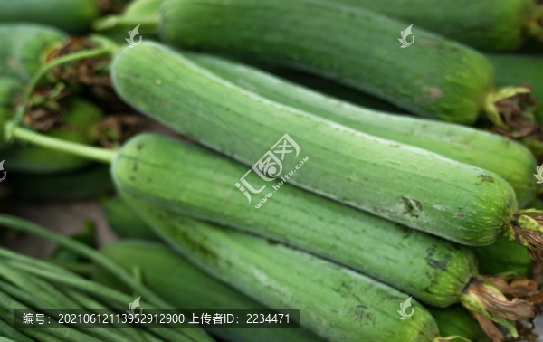 絲瓜