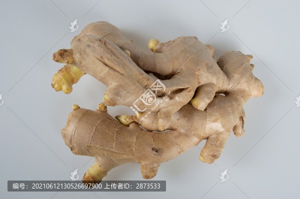 生姜素材下載