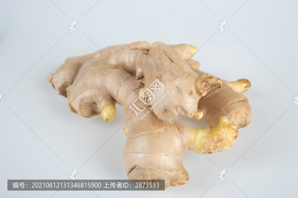 生姜素材下載