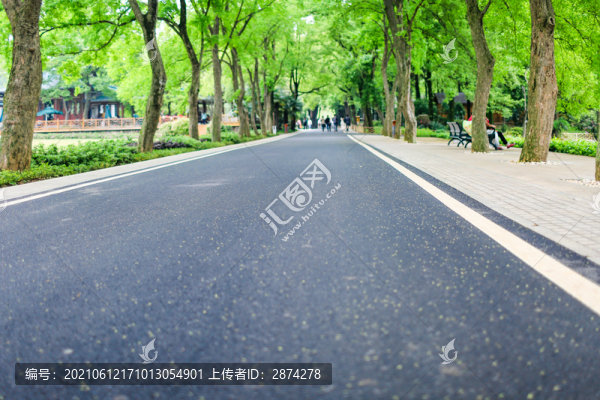 綠蔭小道