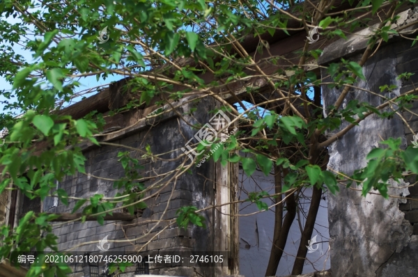 殘跡鑾慶胡同