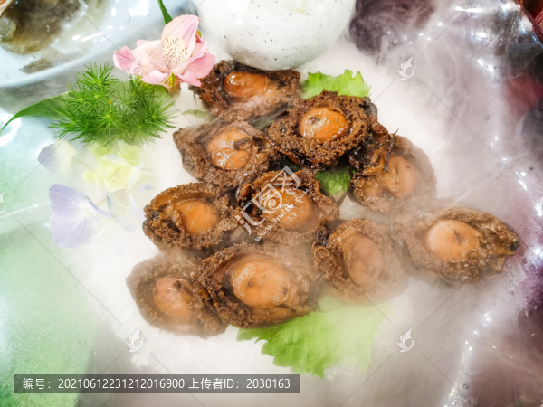 鮑魚