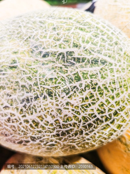 網(wǎng)紋瓜