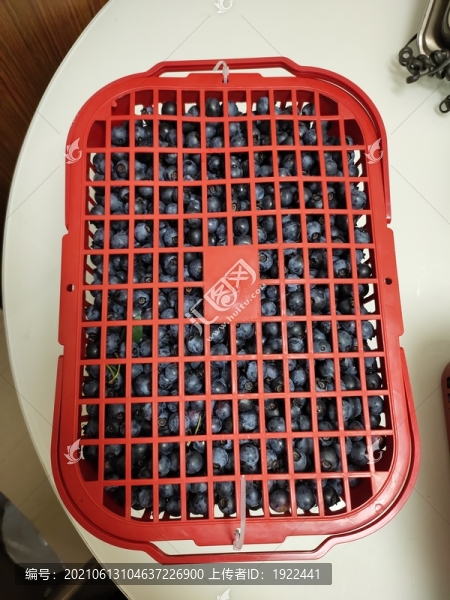 一籃子藍莓