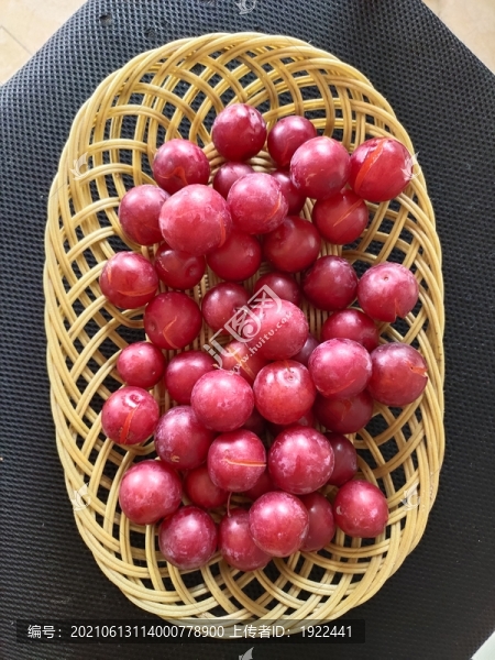 紅葉李大圖