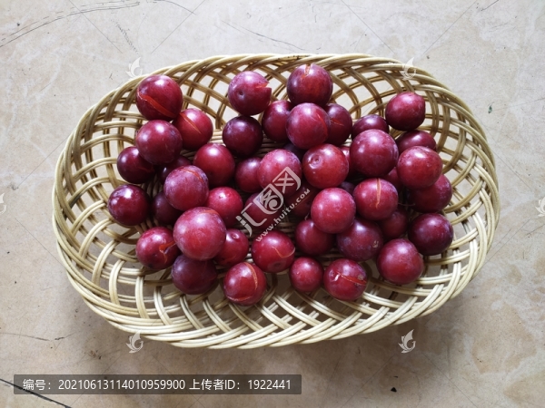 紅葉李