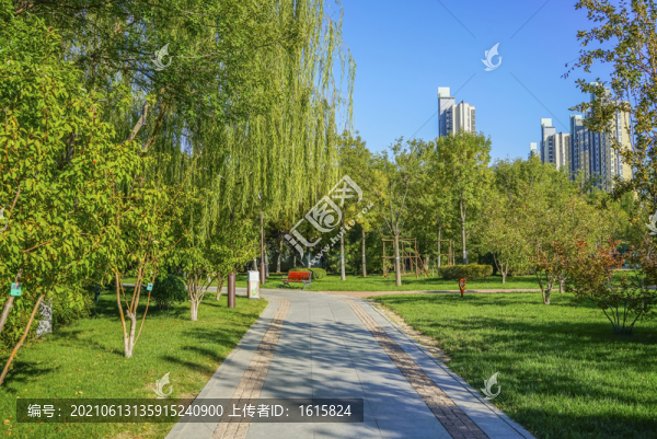 天津南翠屏公園步道