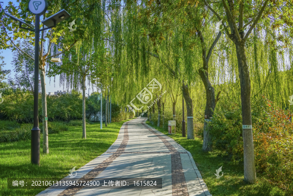 天津南翠屏公園步道