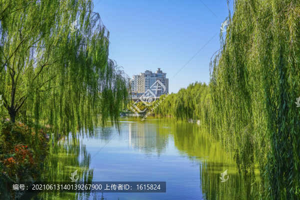 天津南翠屏公園河道景觀