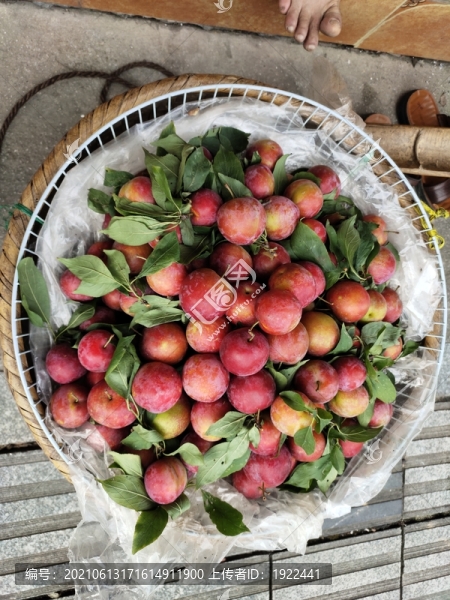 蜜思李