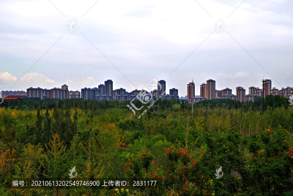 城市綠心森林公園