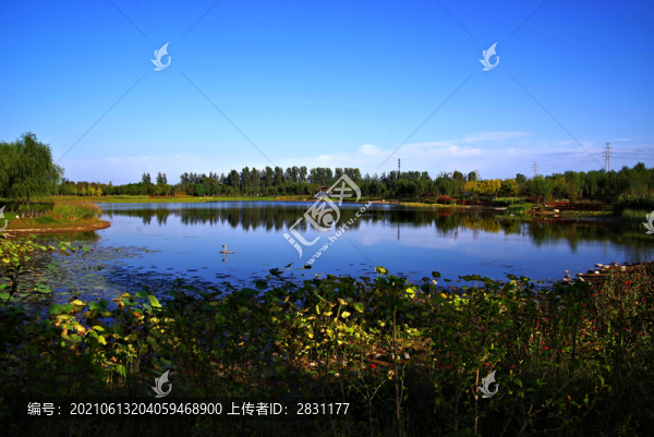 城市綠心森林公園