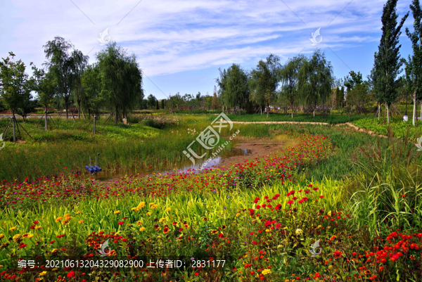 城市綠心森林公園