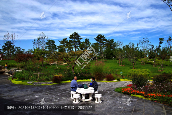城市綠心森林公園