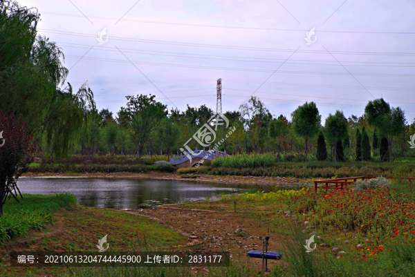 城市綠心森林公園